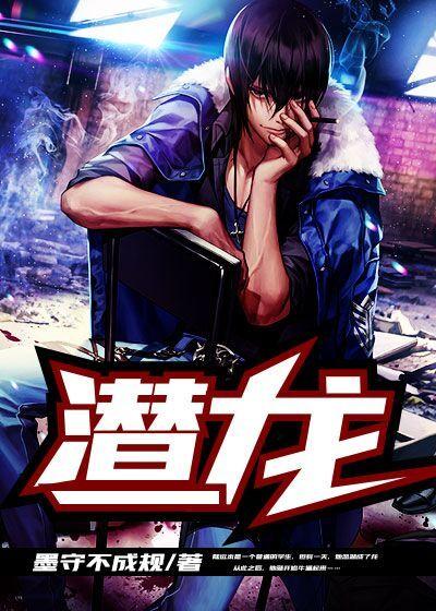 潜龙战斗机简介