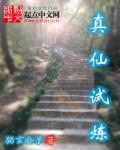 真仙装备怎么升级