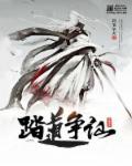 踏天争仙顶点