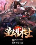 星耀以上用什么法师