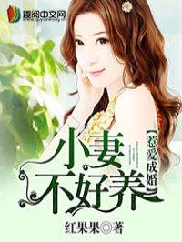 惹爱成婚抄袭哪本
