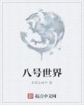 八号人国际是什么公司