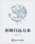 巫师自远方来书评