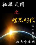 征服天国txt精校