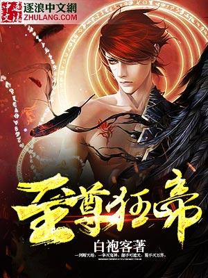 至尊狂帝苏决