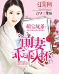 萌宝在上前夫请走开!