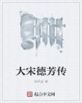 大宋宫词 赵德芳