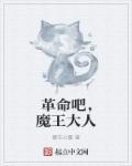 魔王大人是魅魔