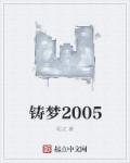 铸梦2005顶点