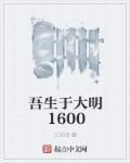 吾乃大明人全集