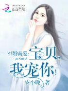 军婚宠不停宝贝专心点
