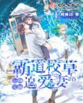 甜妻攻略娇病权臣