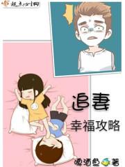 宠妻才是正经事全文阅读