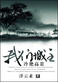 综我们城主冷艳高贵无防盗
