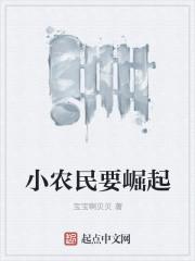 小农民奋斗史