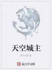天空城攻略