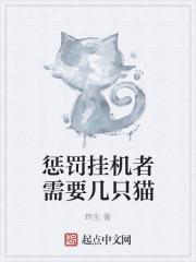 惩罚者机器人怎么打