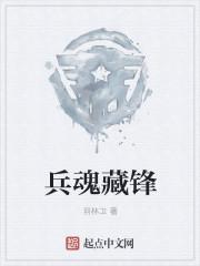 兵魂图片