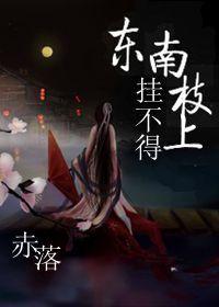 mate20por外屏更换