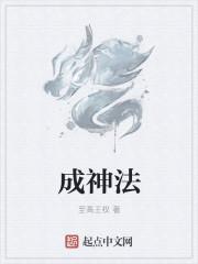 我在全法挂机成神