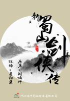 新蜀山剑侠传 太多