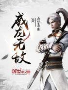 威龙增强版