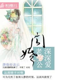 闪婚老公深深爱免费