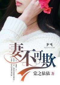 妻不可欺短剧免费观看全集