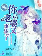 你老婆又重生了作者花花了