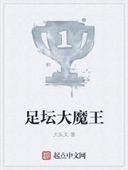 足坛大魔王之七