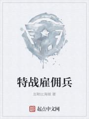特种兵雇佣兵战争