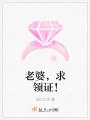 老婆领证去txt