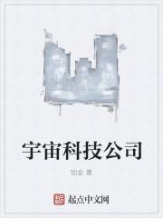 宇宙电子科技有限公司