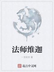 小法师维迦的id