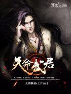 天命武君番外