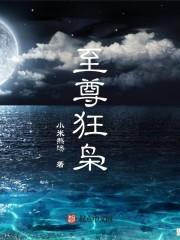 都市至尊狂枭