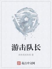 游击队的队长是谁