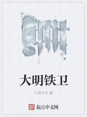 大明铁卫动画大合集