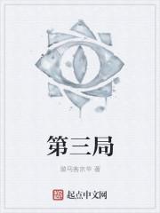 中日团体对抗赛第三局