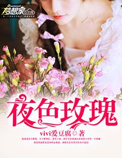 夜色玫瑰电视剧
