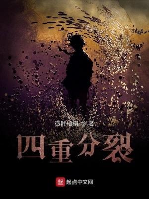 四重分裂人物介绍
