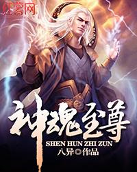 神魂至尊的简介