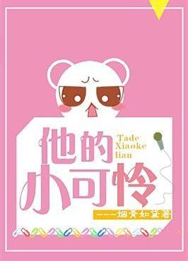 他的小可怜全文阅读
