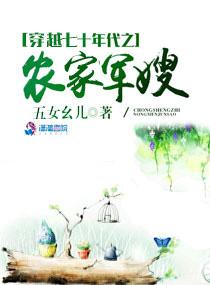 穿越七十年代之农家军嫂视频