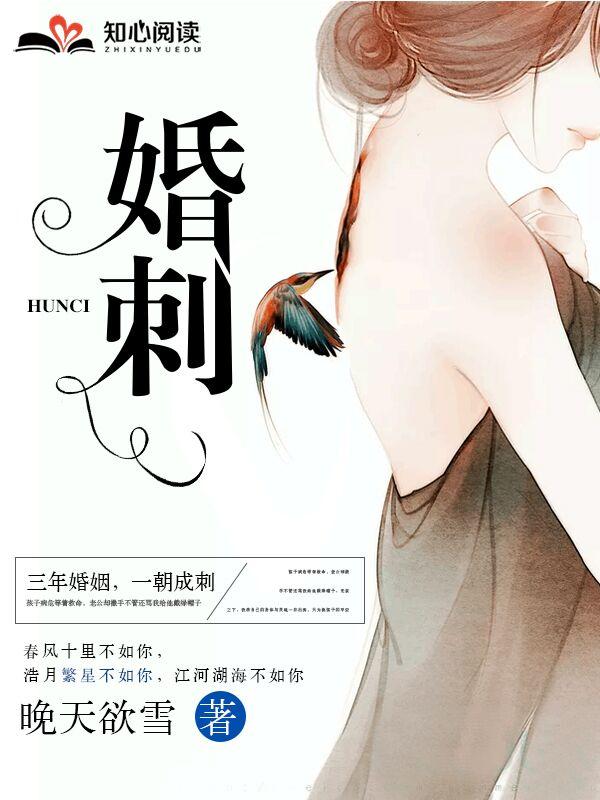 婚规2第二部免费观看