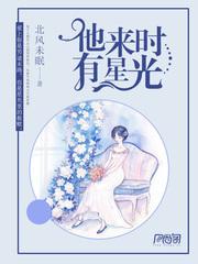 他来时有星光的电视剧叫什么