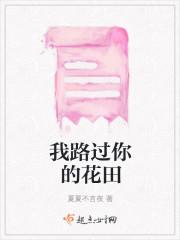 一拳无敌40集全部免费播放