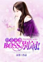 boss别撩我未删减