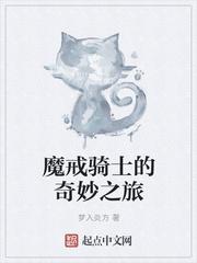 魔戒骑士的奇妙之旅TXT最新章节列表