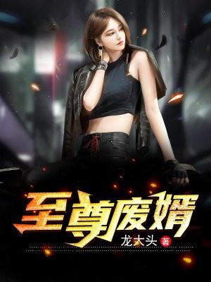 至尊废婿txt